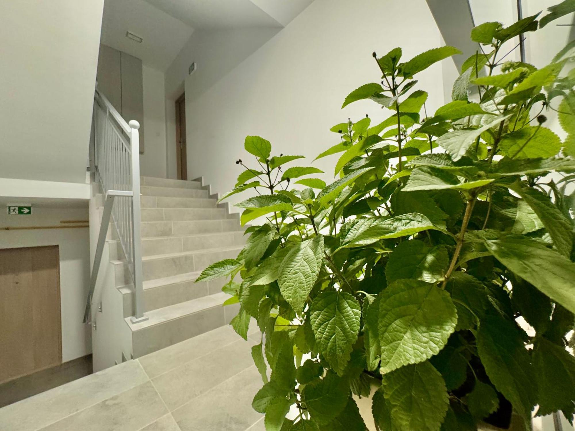 Apartament Olenka Busko-Zdrój Εξωτερικό φωτογραφία